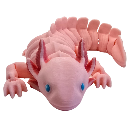 Axolotl